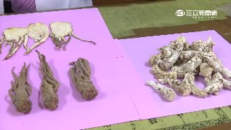 當歸頭假冒粉光蔘？攤販快閃被疑有詐