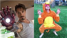 小勞勃道尼　組圖／翻攝自IMDb、IG