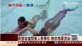 星國美人魚1800