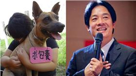 浪浪,TNR,撲殺,流浪動物,賴清德,動保團體,認養,結紮▲圖／翻攝自社團法人台南市流浪動物愛護協會、賴清德臉書