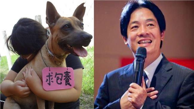 賴神力挺！台南創浪浪「零撲殺」紀錄