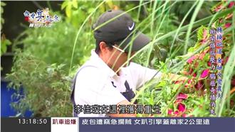 曾叱吒香港金融　腦瘤卻讓李佳璇重生