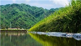 農業　圖／翻攝自《台灣農村陣線》臉書