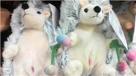 刺蝟玩偶　翻攝自每日郵報
http://www.dailymail.co.uk/news/article-3293144/Toy-hedgehogs-banned-Russian-stores-officials-say-belly-buttons-look-like-female-genitalia.html