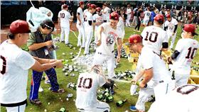 中職,桃猿封王（圖／取自Lamigo粉絲團）