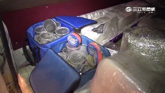 棺材不裝大體　改走私上千萬魚子醬！
