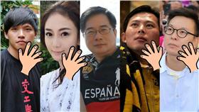 太陽花女王,劉喬安,賣淫,蔡正元,林飛帆,陳為廷,黃國昌▲圖／翻攝自陳為廷、林飛帆、蔡正元、劉喬安、黃國昌臉書