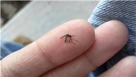 蚊子,解法,學生,搞笑,無奈,養小孩
圖／攝影者Howdy, Flickr CC License
https://www.flickr.com/photos/stellardot/15207456316/