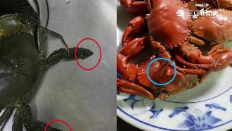 螃蟹被調包！老闆：多喝兩杯搞錯了