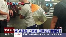 高鐵吳郭魚1800