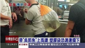 帶寵物搭高鐵　「吳郭魚」被拒絕了！