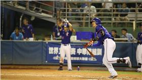 12強,台灣隊,中華隊,陽岱鋼（圖／取自CPBL粉絲團）