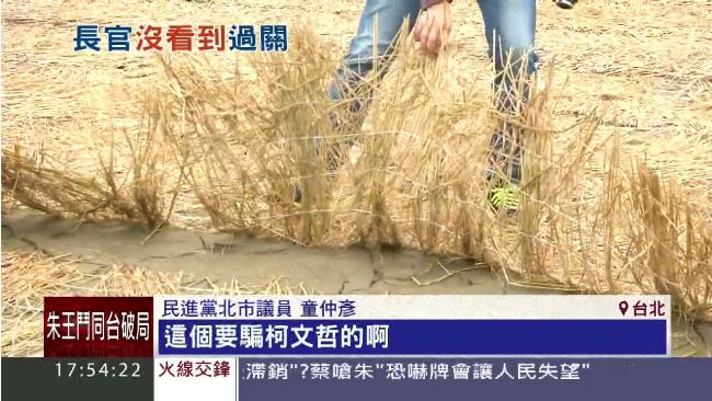 怕被柯P看到？鋪稻草藏「廢墟球場」