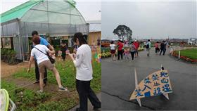 ▲圖／翻攝自臉書「沙鹿之美」社團