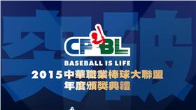 中華職棒頒獎典禮（圖／中職提供）