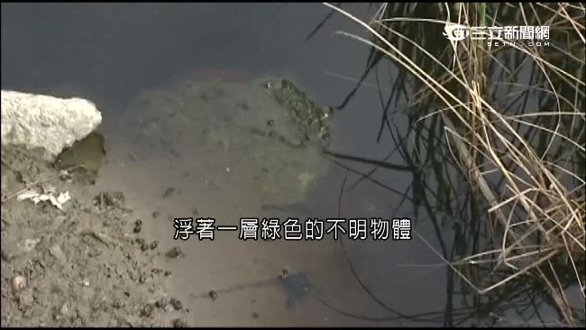 亂倒焚化爐底渣毀農作物　居民怒抗爭