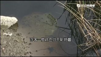 亂倒焚化爐底渣毀農作物　居民怒抗爭