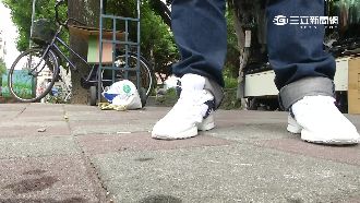 穿過都說讚！台製「小白豹」CP值高