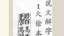 馬+習=騽　鄉民推爆：造字人是先知