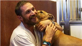 《金牌黑幫》／CatchPlay提供