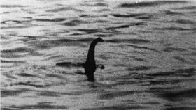 威尼斯水怪(dailymail)