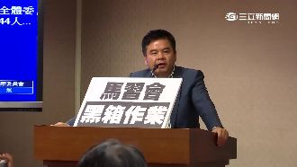 馬習會看報才知　藍綠立委轟條件交換