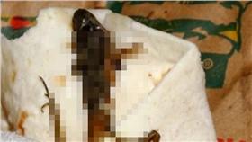 青蛙,麥當勞,首圖／翻攝自metro