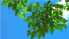 氣象,晴到多雲,濕冷,溫差,PM2.5,空氣品質,秋老虎
圖／攝影者photographyplayers, Flickr CC License
https://www.flickr.com/photos/photographyplayers/18346315851/