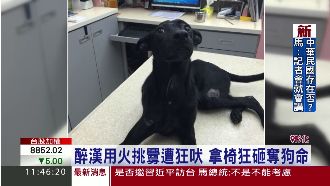 醉漢點火挑釁　又拿椅狂砸小狗致死！