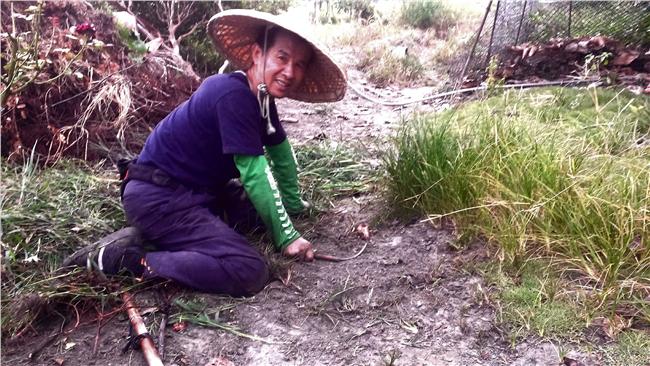 小腦萎縮患者楊文港　務農捐薪做公益