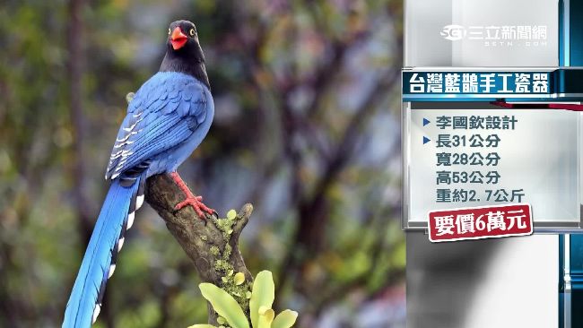 台灣藍鵲瓷器贈習　台、陸解釋大不同