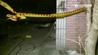 啃老男敗光千萬家產　逼母賣地砍親姊