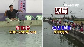 釣不到蝦免錢！上百人包圍搶蝦