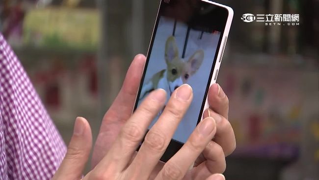 以「有業績需求」誆騙大學生，委託他們到通訊行以「無卡分期」買手機。（示意圖／資料照）