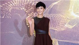 桂綸鎂,金馬影展提供