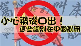 兩岸用語,同詞異意