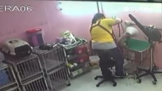 狗狗美容竟遭虐死　撞球國手哭喊告