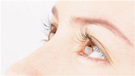 眼睛－翻攝自百度百科

http://image.baidu.com/search/detail?ct=503316480&z=0&ipn=d&word=%E7%9C%BC%E7%9D%9B&step_word=&pn=108&spn=0&di=127127796400&pi=&rn=1&tn=baiduimagedetail&is=&istype=0&ie=utf-8&oe=utf-8&in=&cl=2&lm=-1&st=undefined&cs=2466447789%2C1978343186&os=751033830%2C3800614147&simid=3568848689%2C405472589&adpicid=0&ln=1000&fr=&fmq=1447307665465_R&ic=undefined&s=undefined&se=&sme=&tab=0&width=&height=&face=undefined&ist=&jit=&cg=&bdtype=0&objurl=http%3A%2F%2Fwww.my0538.com.cn%2FUploadFiles%2FUser%2F685%2Fblog%2F2012062009013028041.jpg&fromurl=ippr_z2C%24qAzdH3FAzdH3Fooo_z%26e3B4yacnb_z%26e3Bv54_z%26e3BvgAzdH3FfrwvjAzdH3F%3FmbcAzdH3Fs52AzdH3F9m0ma&gsm=0