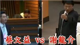 蔡文益,謝龍介／翻攝自YouTube