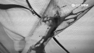 貼廣告被檢舉　兩惡男圍毆房仲前同事