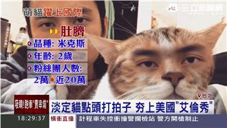 貓咪打瞌睡超對拍　萌翻美國艾倫秀