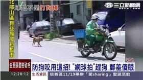 「家有惡犬」黑名單住戶！未來郵差不送信　你要自己領