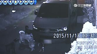 百萬愛車慘遭毀容　兇手竟是一群狗