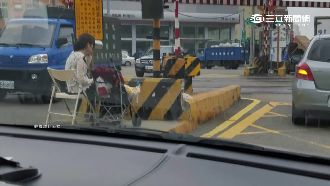 分隔島當觀景台　母竟推女悠閒看火車