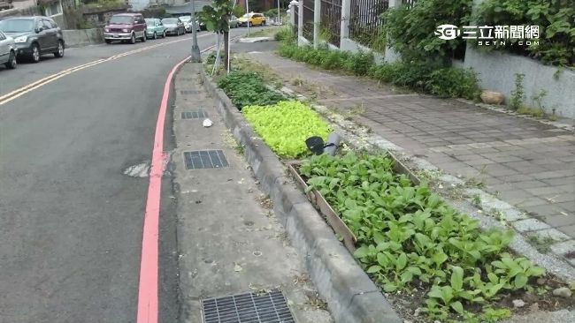 種菜種花美化人行道？侵占國土恐挨罰