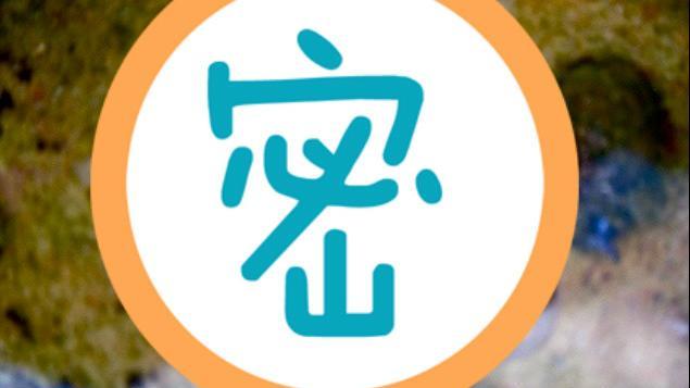 「藍龍」現身澳洲　網友驚嘆：真美