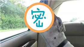 圖／翻攝自《每日郵報》