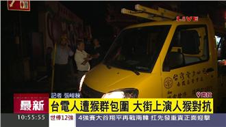 停電！台電工搶修驚見「牠」觸電倒地