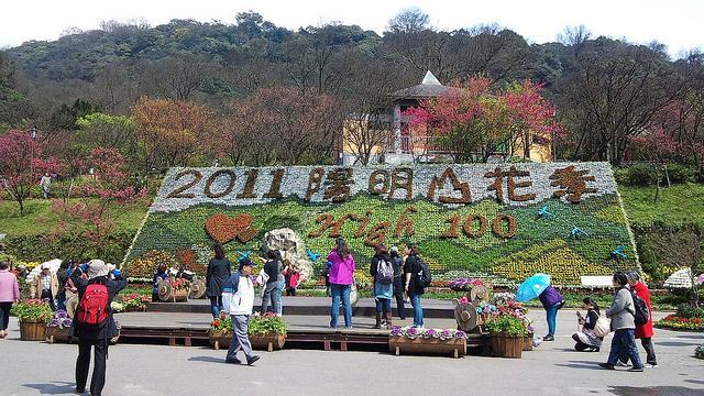 陽明山花季停辦？柯P：由陽管處決定