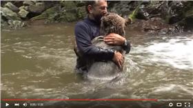 他遇到野熊這樣做　遭「熊抱」處理16:9
https://www.youtube.com/watch?v=bcYyT_g409k